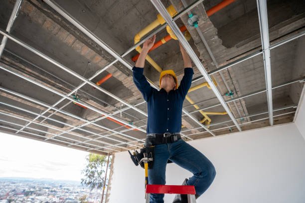 Best Plumbing Inspection Services  in Margaret, AL